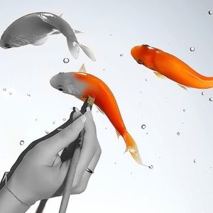 Meet your Posher, Kristin